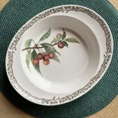 Noritake ロイヤルオーチャードオーバルプレート
