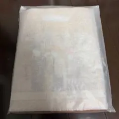 Item thumbnail for item 2e2d66e5-e504-47fc-94f7-86e1ae6b8543