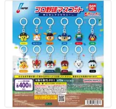 ⚠️ご購入者様決定済み⚠️プロ野球マスコット めじるしアクセサリー ジャビット