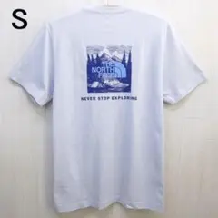 ザ ノースフェイス BOX NSE 半袖Tシャツ S ミスティック ヘイズ
