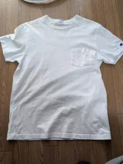 Item thumbnail for item 03f8515b-5b53-4f4a-a8de-46d46c10548b