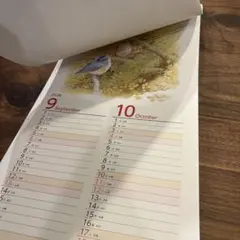 Item thumbnail for item 46c81e44-b946-4728-ac18-eb27061516f8