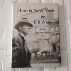 みなみ様専用　Here is New York