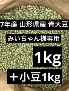みいちゃん様専用