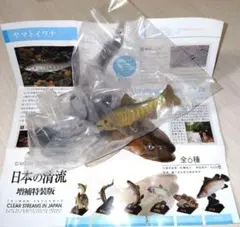 日本の清流 増補特装版 ヤマトイワナ ネイチャーテクニカラー