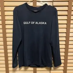 ノースフェイス　THE NORTH FACE ロングスリーブ　レディースL 濃紺