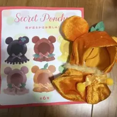 ディズニーストアSecret Ponchoフルーツシリーズ　オレンジ