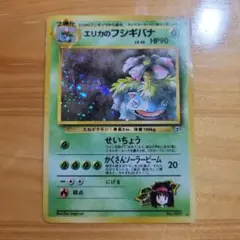 て*ス様 エリカのフシギバナ　旧裏