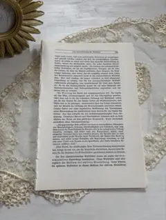 アンティーク洋書