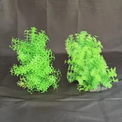 アクアリウム　人工水草　2種セット　高さ約23cm ほぼ未使用　水槽レイアウト