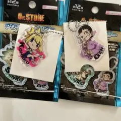 Dr.STONE アクリルキーホルダー コハク あさぎりゲン 2種セット