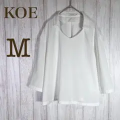 Item thumbnail for item 7448fb20-4f70-4aa0-8d3d-77ab7d460f23