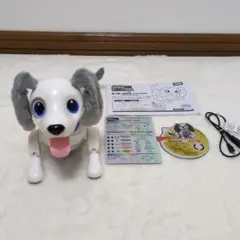 2026年最新】ハローズーマー ミニチュアダックスの人気アイテム - メルカリ