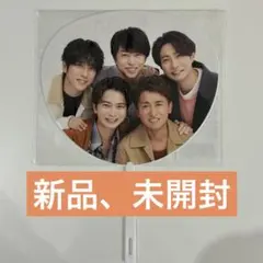 ⭐️新品未使用We are ARASHI LIVE TOUR 2026 ミニうちわ