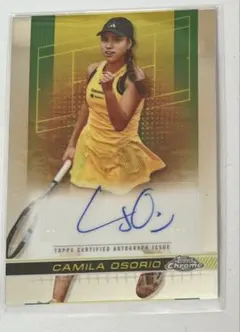 Item thumbnail for item 2201412d-2dda-47cc-b27b-f709ff0de6b1