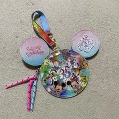 ディズニーランド35周年 パスケース