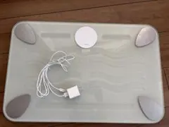【美品・箱なし】WELLY スマートバスマット 2025年購入 Smart Bath Mat 【美品・箱なし】WELLY 2025年購入 - メルカリ