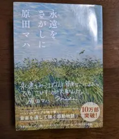 永遠(とわ)をさがしに