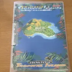 ポケモンカード9枚セット サザンアイランド/レインボーアイランド