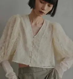 BRUSHED LACE VOLUME SLEEVE BLOUSEのサムネイル