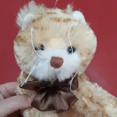 BUKOWSKI ぬいぐるみ 猫 450 Bukowskiブコウスキー 猫ぬいぐるみ - メルカリ