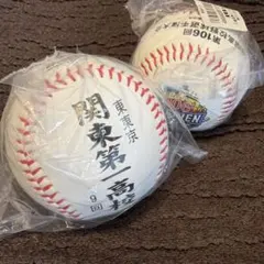 甲子園100周年 第106回全国高校野球選手権大会 記念ボール - メルカリ