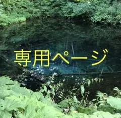 ・優 華・様専用ページ