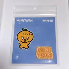 ジョシュア SEVENTEEN miniteen ワッペン 新品 未開封 グミ - メルカリ