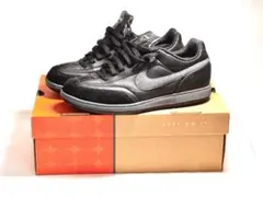 Item thumbnail for item faa5020c-21b0-4c19-a4b5-edf1b2255f71