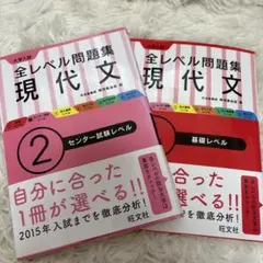 【2冊セット】全レベル問題集 現代文 ①基礎＋②センター試験レベル 河合塾講師
