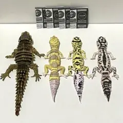 いきもの大図鑑アドバンス SELECTED EDITION 02 コンプリート