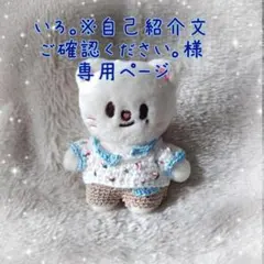 skzoo10cmぬい服いろ。※自己紹介文ご確認ください様専用ページジニレットＤ