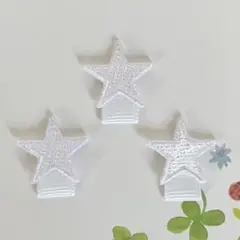 名札付けワッペン 星白
