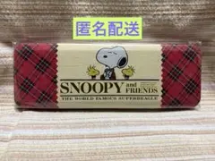平成レトロ　スヌーピー 缶ペン　レア　希少　①