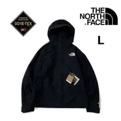 ノースフェイス マウンテンジャケット US ゴアテックス(L)黒 180915