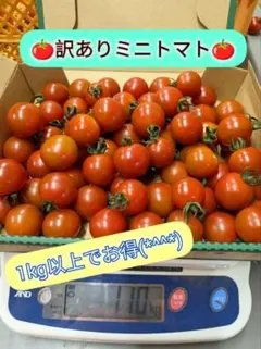 夏の訳あり筋肉トマト〜1kg入り〜のサムネイル