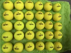 Item thumbnail for item 16f9616c-71e6-4565-84f1-77ff613c1b64