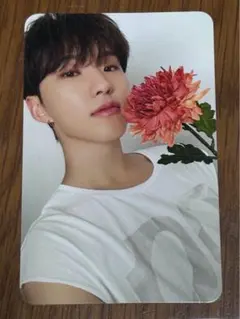 seventeen ホシ 17 IS RIGHT HERE DEAR トレカ