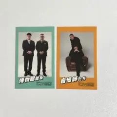 チョコプラ博物館 ステッカー チョコプラ チョコレートプラネット