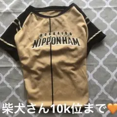 北海道日本ハムファイターズ 犬服