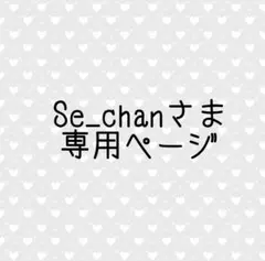 Se_chanさま専用ページ