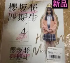 希少品 新品 櫻坂46 目黒陽色 四期生お披露目制服 アクリルスタンド アクスタ 希少品 新品 櫻坂46 目黒陽色 四期生お披露目制服 アクリルスタンド