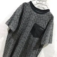 ＣＯＡＣＨ コーチ シグネチャー Ｔシャツ カットソー グレー Ｍ