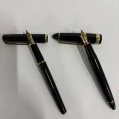併164▼万年筆 SAILOR プロフィットスタンダード14K TIGP ２本