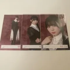 櫻坂46 稲熊ひな 5th Anniversary ドレス 生写真コンプ - メルカリ