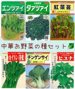 ●夏野菜　美味しい　中国お野菜の種　6種セットのサムネイル