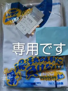 Item thumbnail for item 7ee75d90-181e-492c-8743-8cf69f4a4698