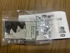ハイキュー ジャンプ GIGA 東京遠征2013夏 メタリック缶バッジ - メルカリ