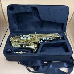 Selmer AS300 USA サックス 本体ケース付き - メルカリ