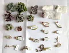 かなで＠プロフ必読様 リクエスト 2点 まとめ商品